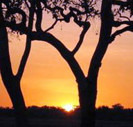 Coodardie Station Stay - Tweed Heads Accommodation