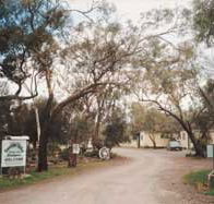 Beautiful Valley Caravan Park Cabins - Tweed Heads Accommodation