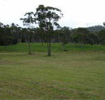 Mt White Lodge - Tweed Heads Accommodation