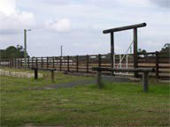 Mt White Lodge - Tweed Heads Accommodation 2