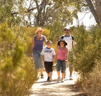 Pepper Tree Cottage - Tweed Heads Accommodation