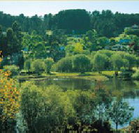 Possum Cottage On The Lake - Tweed Heads Accommodation