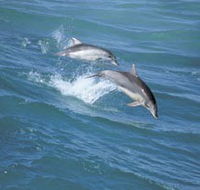 Seachange - Tweed Heads Accommodation