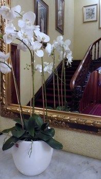 Claremont Guest House - Tweed Heads Accommodation 9