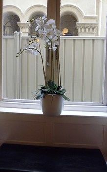 Claremont Guest House - Tweed Heads Accommodation 10