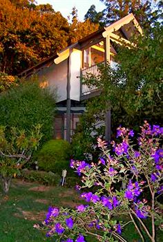Annie Roe's Luxury Bed & Breakfast - Tweed Heads Accommodation 4