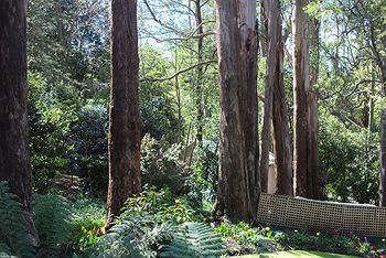 Adeline Bed And Breakfast - Tweed Heads Accommodation 8