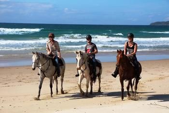 Sunset Cove Noosa - Tweed Heads Accommodation 24