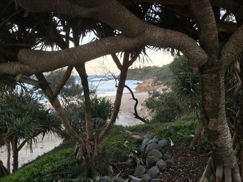 Surf Dance - Tweed Heads Accommodation 9