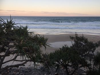 Surf Dance - Tweed Heads Accommodation 12