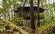 Federation Gardens & Possums Hideaway - thumb 3