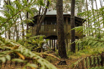Federation Gardens & Possums Hideaway - Tweed Heads Accommodation 3