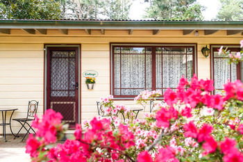 Federation Gardens & Possums Hideaway - Tweed Heads Accommodation 19