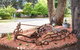 Federation Gardens & Possums Hideaway - thumb 27