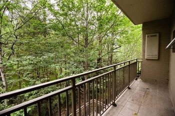 Bluegum Apartments - Tweed Heads Accommodation 4