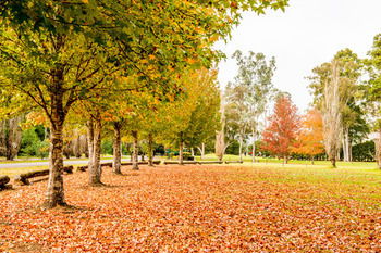 Retreat At Wisemans - Tweed Heads Accommodation 12