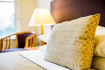 Retreat At Wisemans - Tweed Heads Accommodation 13