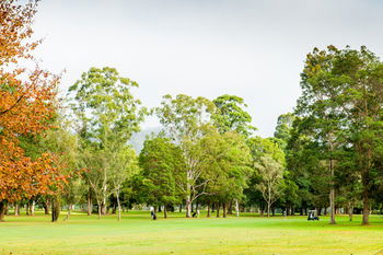 Retreat At Wisemans - Tweed Heads Accommodation 17