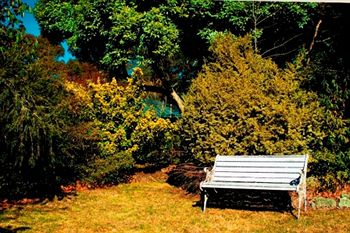Comfort Inn Redleaf Resort - Tweed Heads Accommodation 4