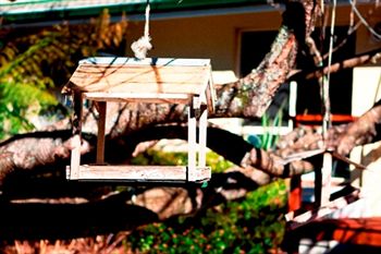 Comfort Inn Redleaf Resort - Tweed Heads Accommodation 5