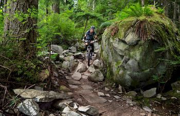 Mountain Element Retreats - Tweed Heads Accommodation 9