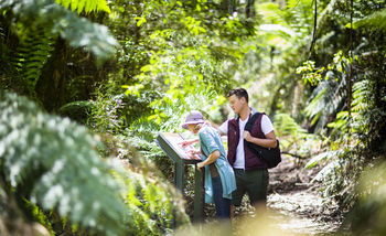 Mountain Element Retreats - Tweed Heads Accommodation 10