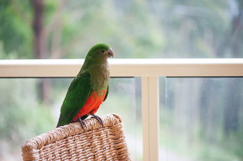 Mountain Element Retreats - Tweed Heads Accommodation 13