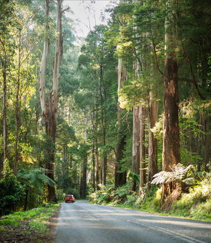 Mountain Element Retreats - Tweed Heads Accommodation 15
