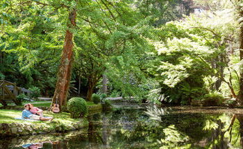 Mountain Element Retreats - Tweed Heads Accommodation 17