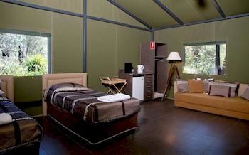 Zoofari Lodge, Taronga Western Plains Zoo - Tweed Heads Accommodation 4