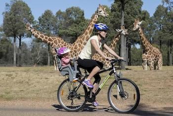 Zoofari Lodge, Taronga Western Plains Zoo - Tweed Heads Accommodation 7