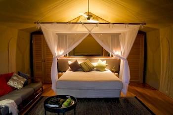 Zoofari Lodge, Taronga Western Plains Zoo - Tweed Heads Accommodation 9