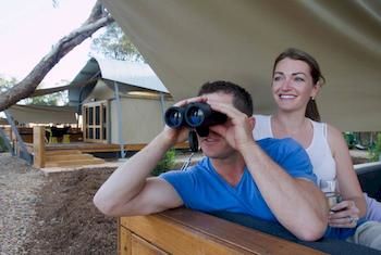 Zoofari Lodge, Taronga Western Plains Zoo - Tweed Heads Accommodation 12