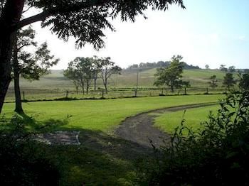 Lochinvar House B&B - Tweed Heads Accommodation 8