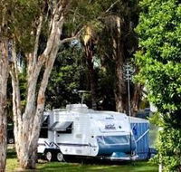 Maroochy River Cabin Village amp Caravan Park - Tweed Heads Accommodation