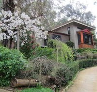 Cherryblossom BampB - Tweed Heads Accommodation