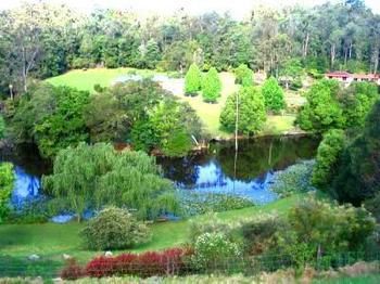 The Acreage B&B - Tweed Heads Accommodation 1