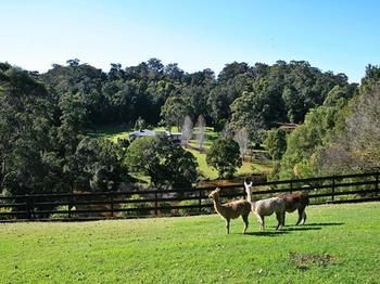 The Acreage B&B - Tweed Heads Accommodation 12