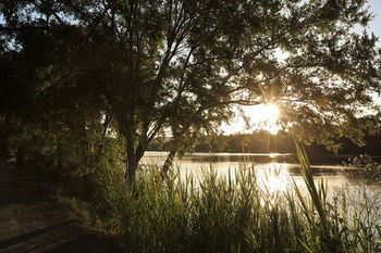 Ingenia Holidays Nepean River - Tweed Heads Accommodation 41