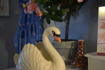 Meurants Manor Bed And Breakfast - Tweed Heads Accommodation 39