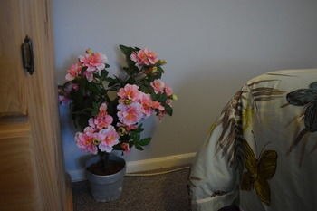 Meurants Manor Bed And Breakfast - Tweed Heads Accommodation 42