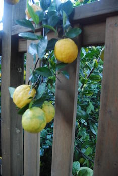 Highclaire House Bed And Breakfast - Tweed Heads Accommodation 27