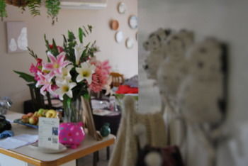 Highclaire House Bed And Breakfast - Tweed Heads Accommodation 32