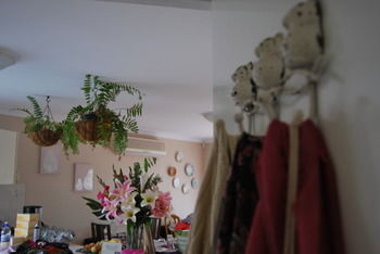 Highclaire House Bed And Breakfast - Tweed Heads Accommodation 35