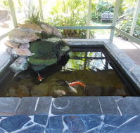 The Willows - Tweed Heads Accommodation