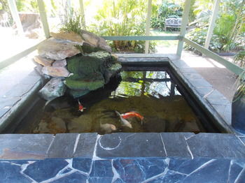The Willows - Tweed Heads Accommodation 0