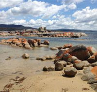 Lake Eckersley campground - Tweed Heads Accommodation