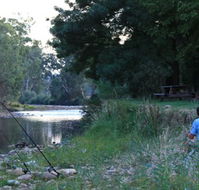 Gentle Annie Caravan and Camping Reserve - Tweed Heads Accommodation