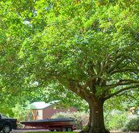 Lakes and Craters Holiday Park - Tweed Heads Accommodation