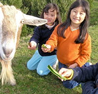 Johanna River Farm and Self Contained Cottages - Tweed Heads Accommodation